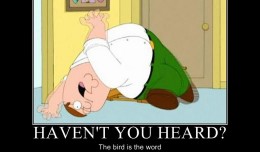 surfin_bird_family_guy