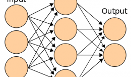 Digital Neural Networks
