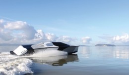 piranha 01