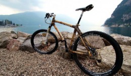 Zuri Bamboo Bicycle 03