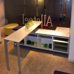 NeoCon 2009, White Town