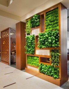 Indoor Vertical Garden Photo: Apartment Therapy