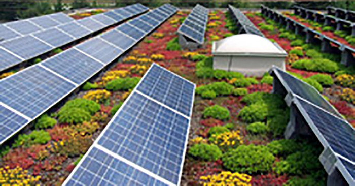 solar-green-roof