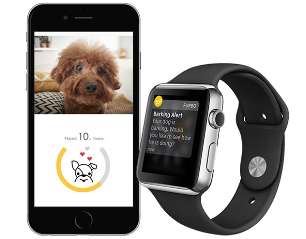 Furbo can be synced to smartphones or the Apple Watch Image via Furbo