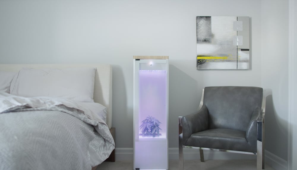 grobo-smart-indoor-garden-3