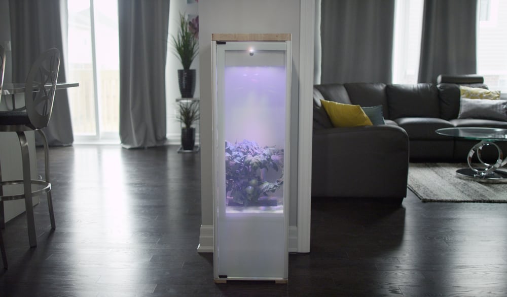grobo-smart-indoor-garden-4