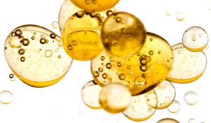 Courtesy of TerraVia