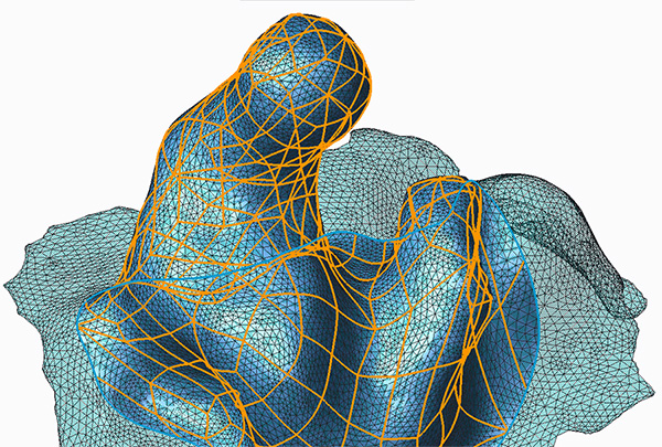 inner ear scan in process of creating a Creo surfacing model