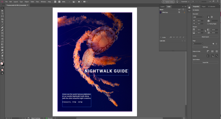 A screenshot from Adobe InDesign