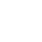 White Design Engine logo