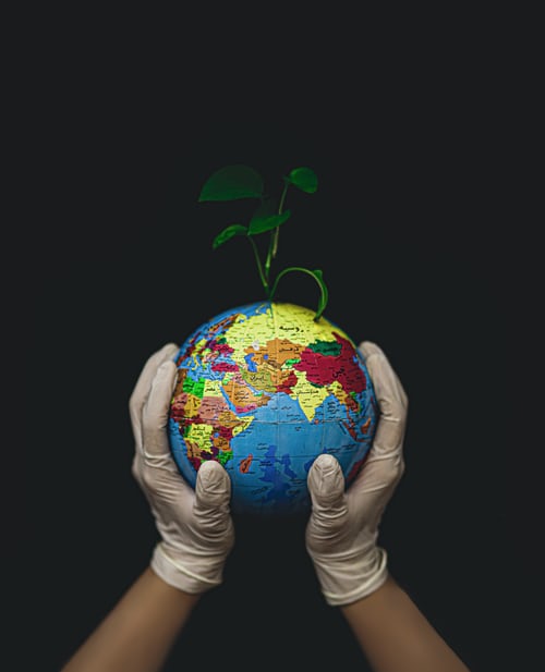 An image of a globe depicting climate action while the person holding it is wearing latex gloves and there is a plant sprouting from it